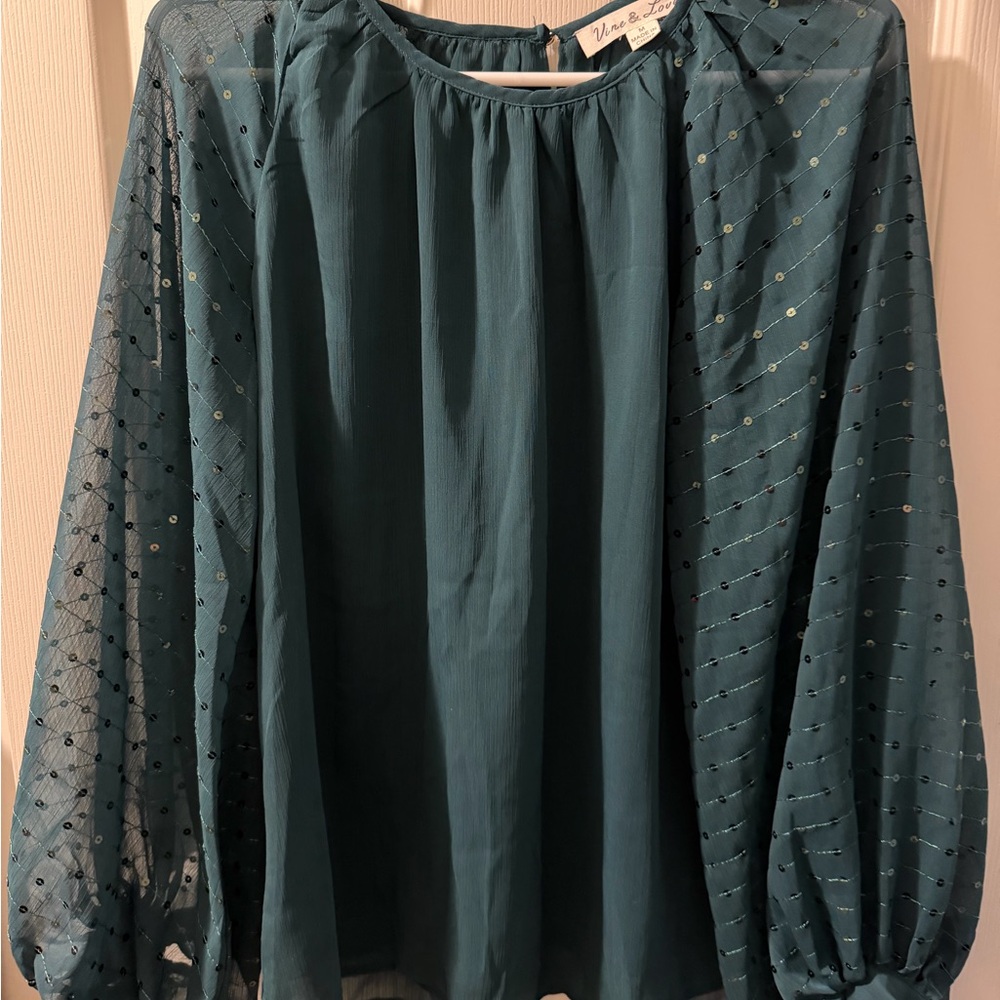Vine & Love Teal Blouse with Sheer Sleeves